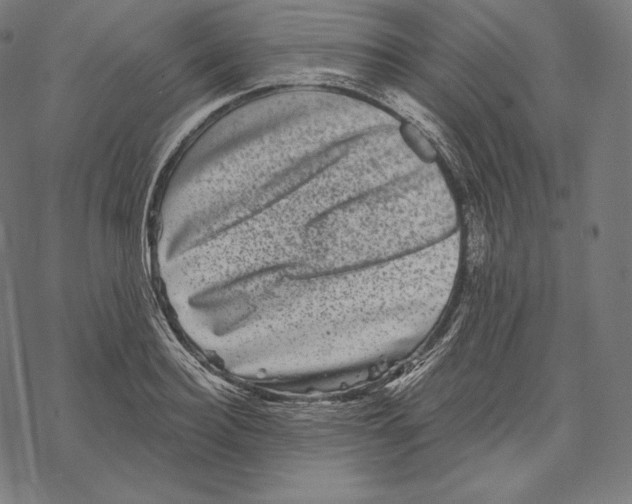X0000067860940200605111730