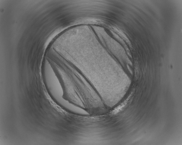 X0000067860944200605111730