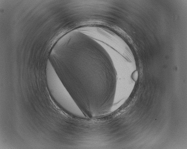 X0000067860945200605111730