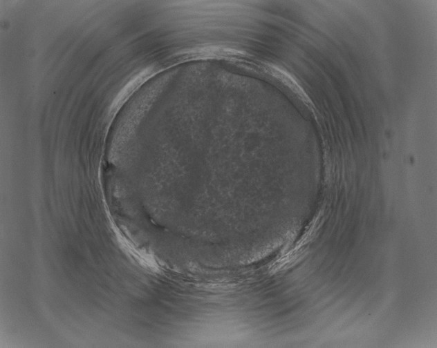 X0000067860946200605111730