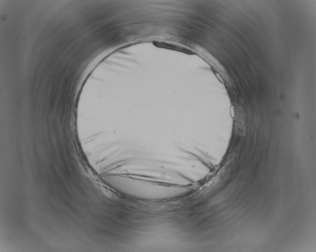 X0000067860956200605111730