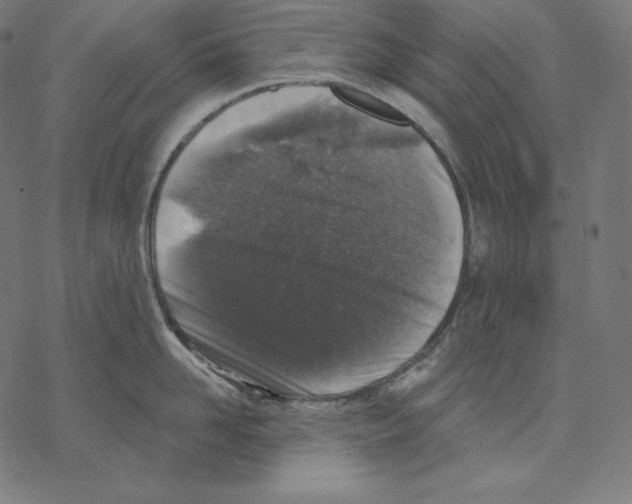 X0000067860958200605111730