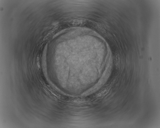 X0000067860962200605111729