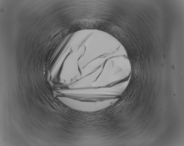 X0000067860964200605111729