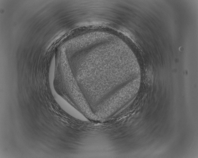 X0000067860967200605111729