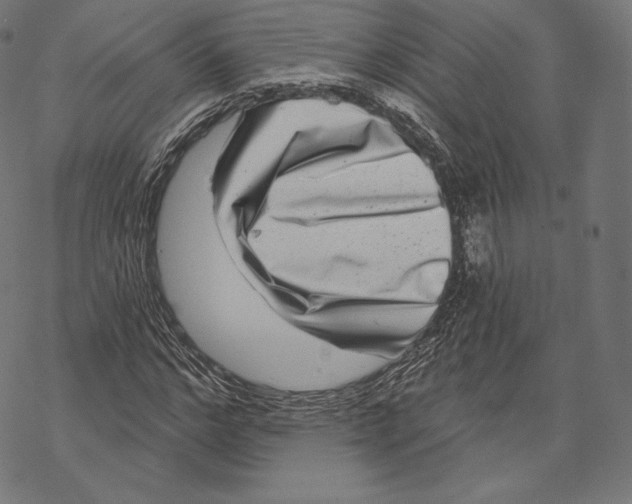 X0000067860968200605111729