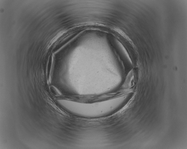 X0000067860969200605111729