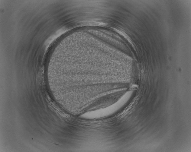 X0000067860971200605111729