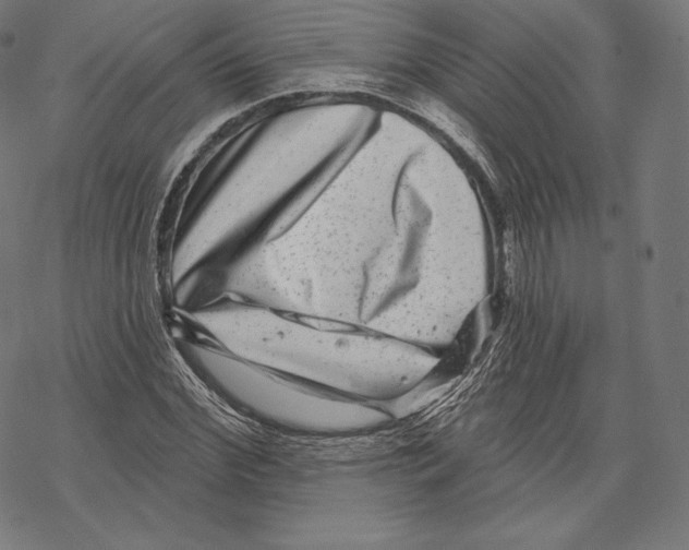 X0000067860972200605111729