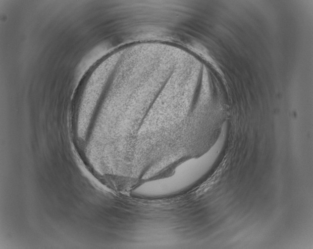 X0000067860991200605111729