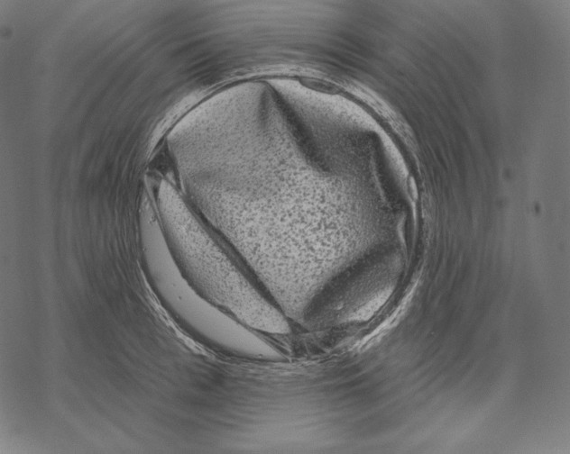 X0000067860993200605111729