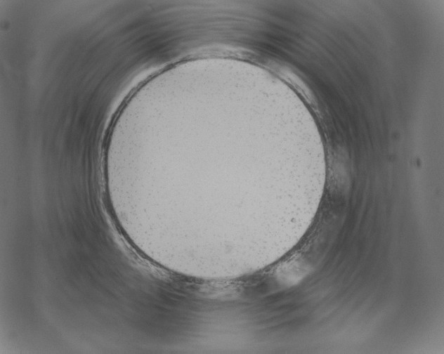 X0000067861000200605111729