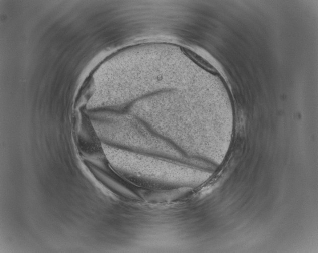 X0000067861005200605111729