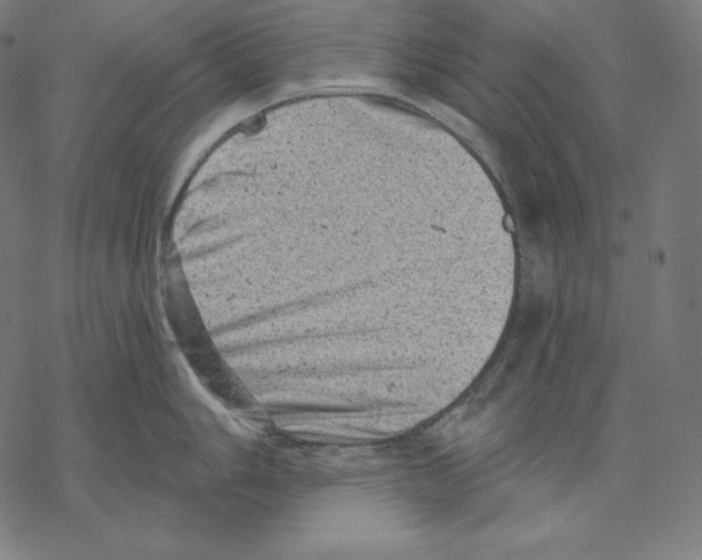 X0000067861006200605111729