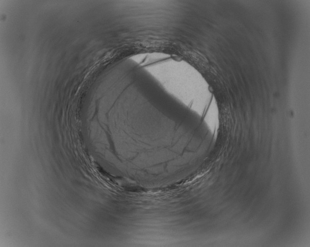 X0000067861009200605111728