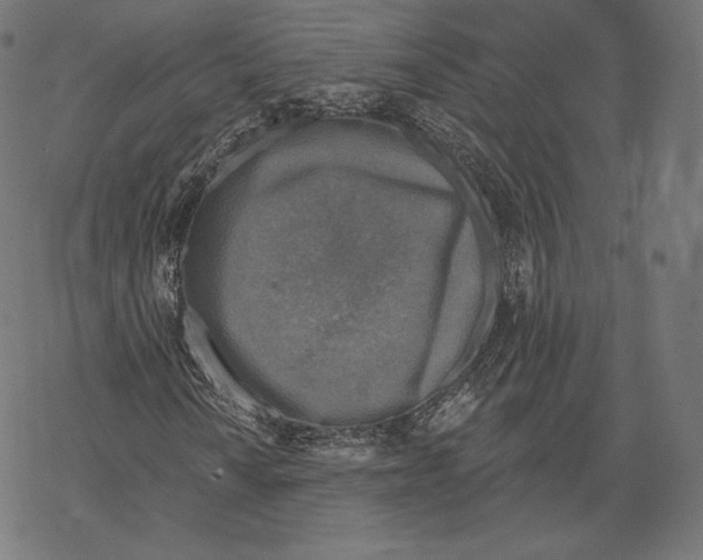 X0000067861010200605111728