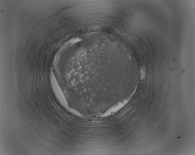 X0000067861011200605111728