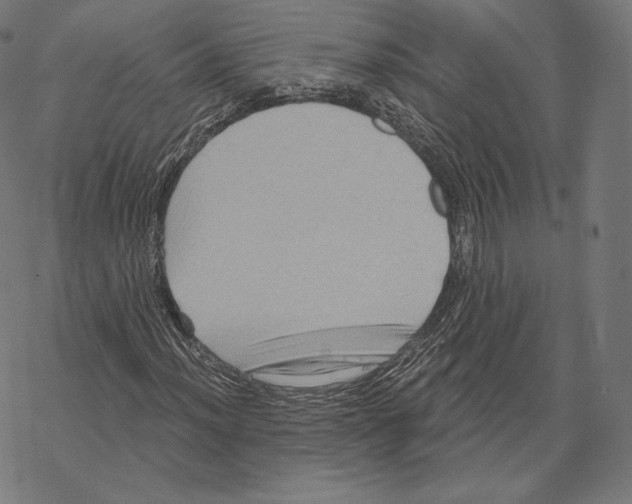 X0000067861012200605111728