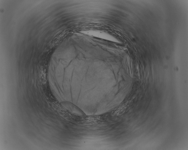 X0000067861013200605111728