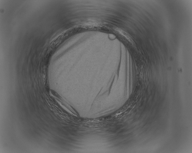 X0000067861015200605111728