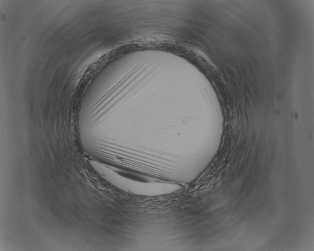 X0000067861016200605111728