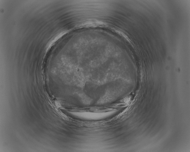 X0000067861018200605111728