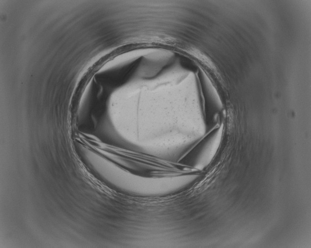 X0000067861020200605111728