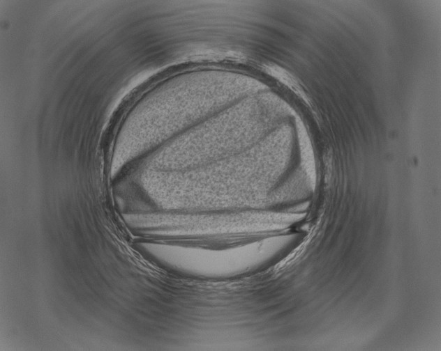 X0000067861021200605111728