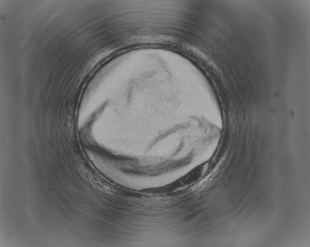 X0000067861025200605111728