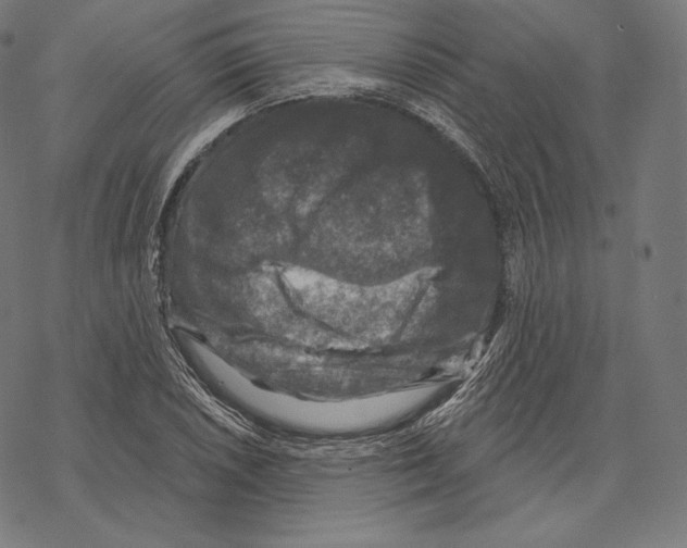 X0000067861026200605111728