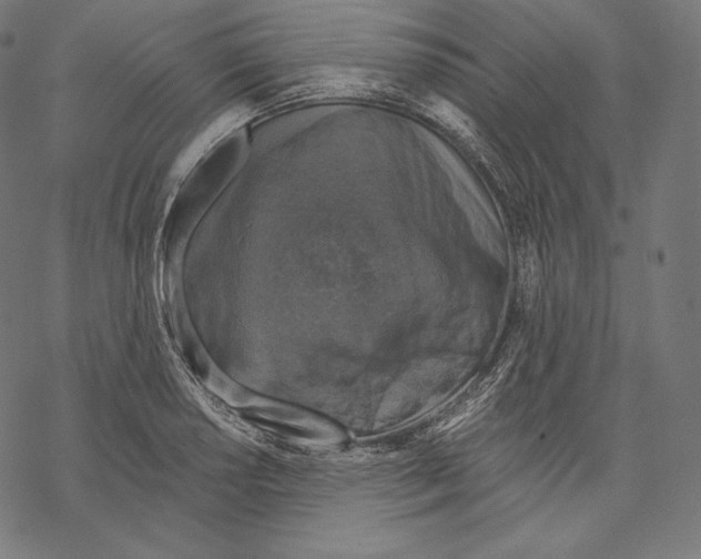 X0000067861034200605111728