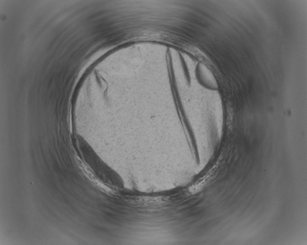 X0000067861036200605111728