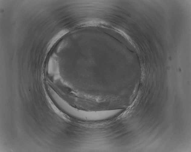 X0000067861042200605111728
