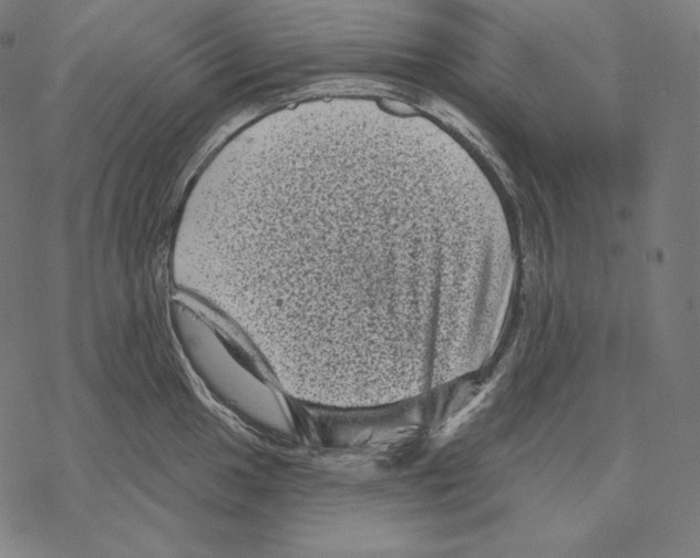 X0000067861049200605111729