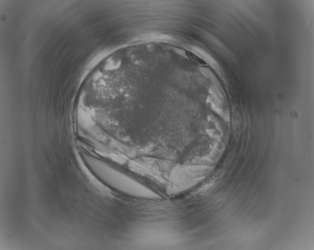 X0000067861055200605111729