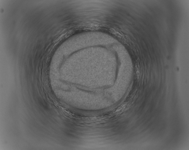 X0000067861057200605111728