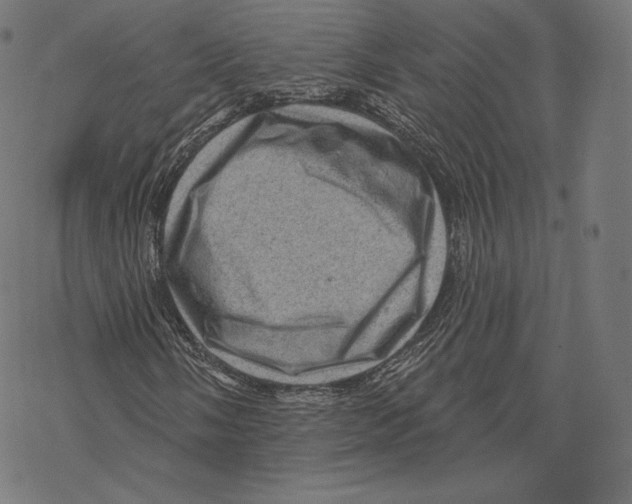 X0000067861058200605111728