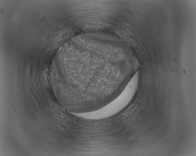 X0000067861059200605111728