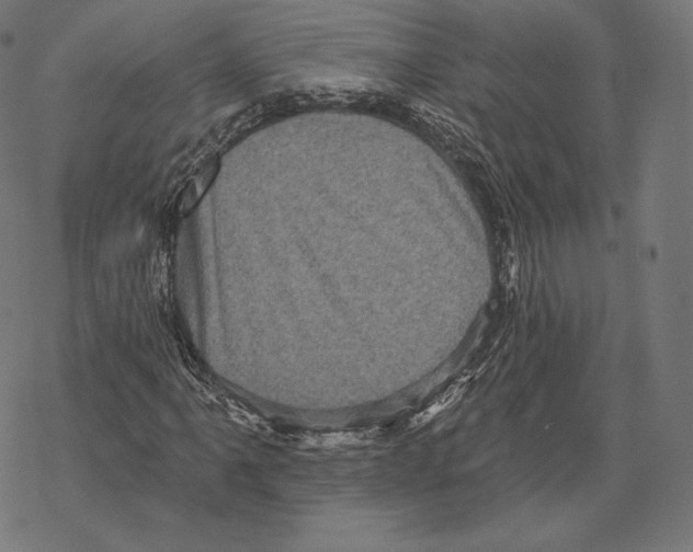 X0000067861061200605111728