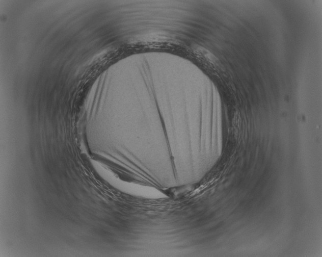X0000067861062200605111728