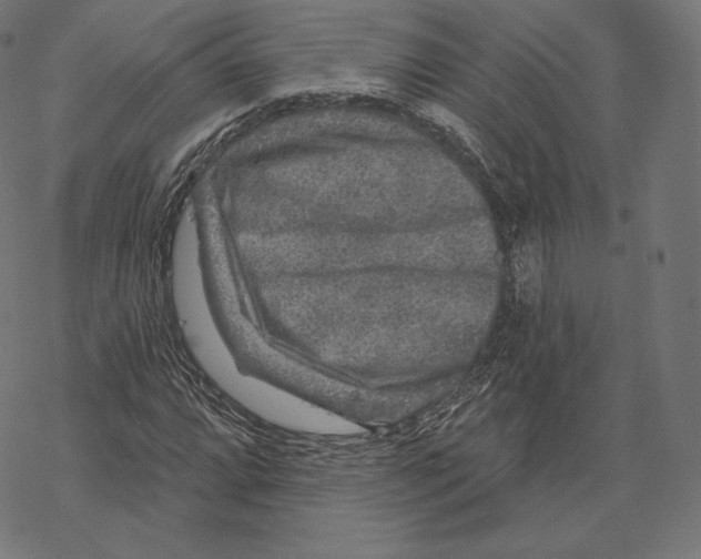 X0000067861064200605111728