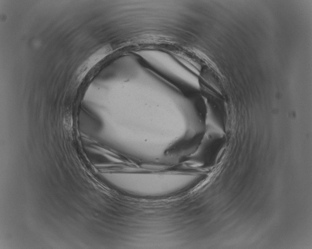 X0000067861065200605111728