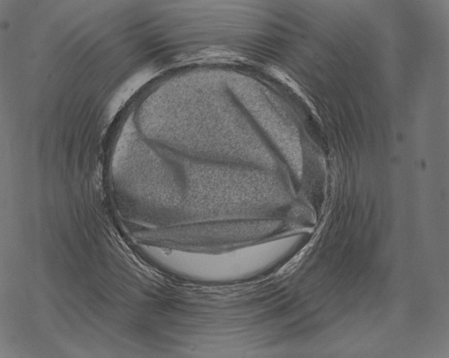 X0000067861066200605111728