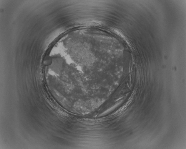 X0000067861071200605111728