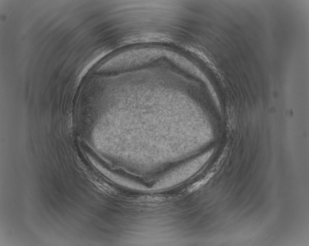 X0000067861073200605111728
