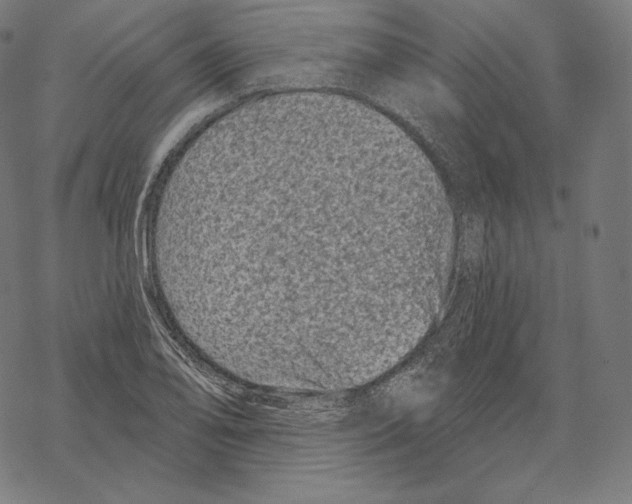 X0000067861078200605111728