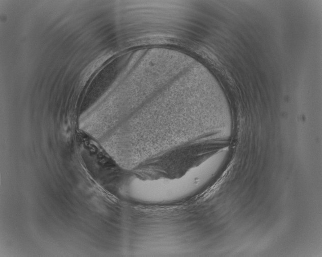 X0000067861081200605111728
