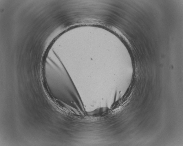 X0000067861085200605111727