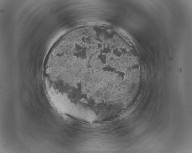 X0000067861095200605111727