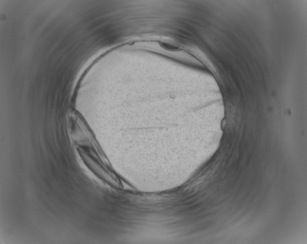 X0000067861100200605111727